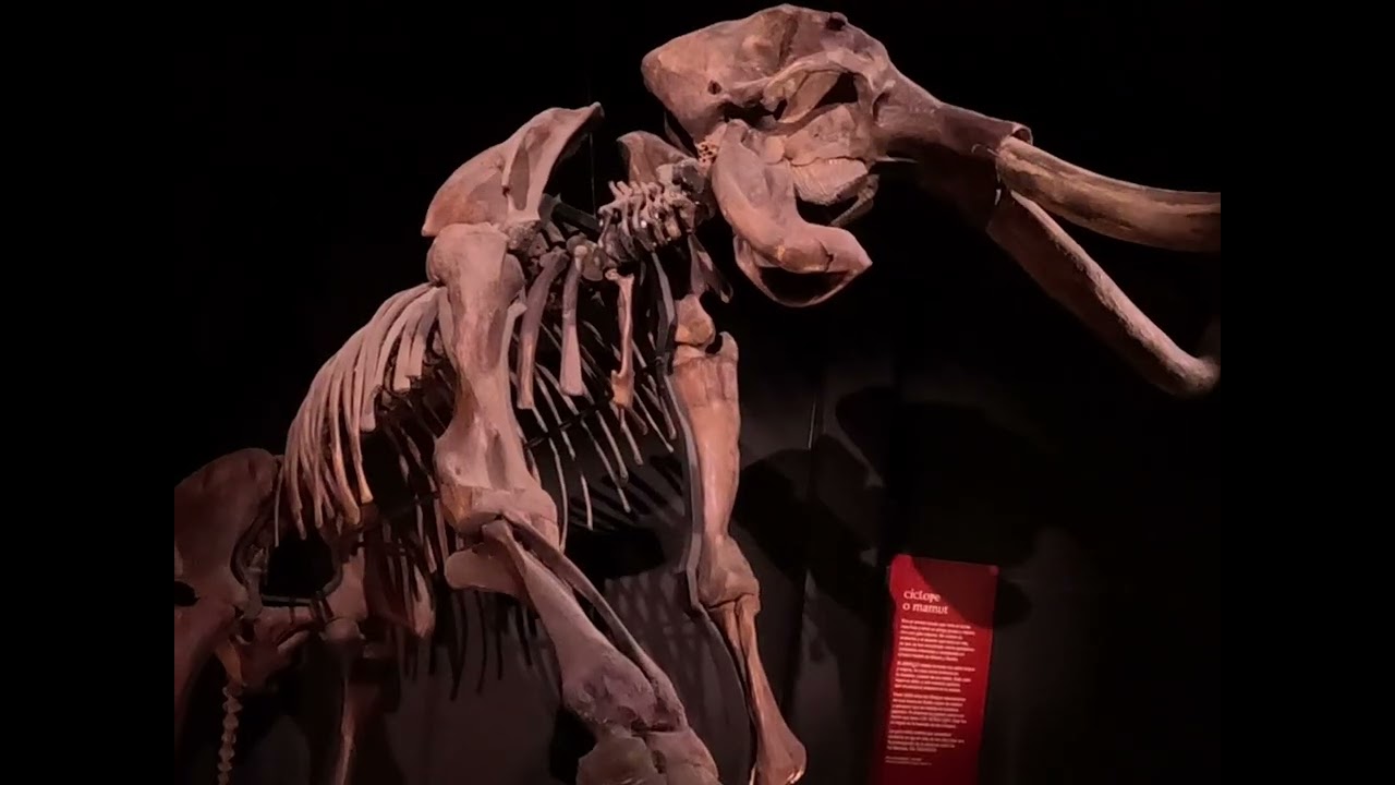 #gopro #travel #dinosaurios #dinopolis #teruel 