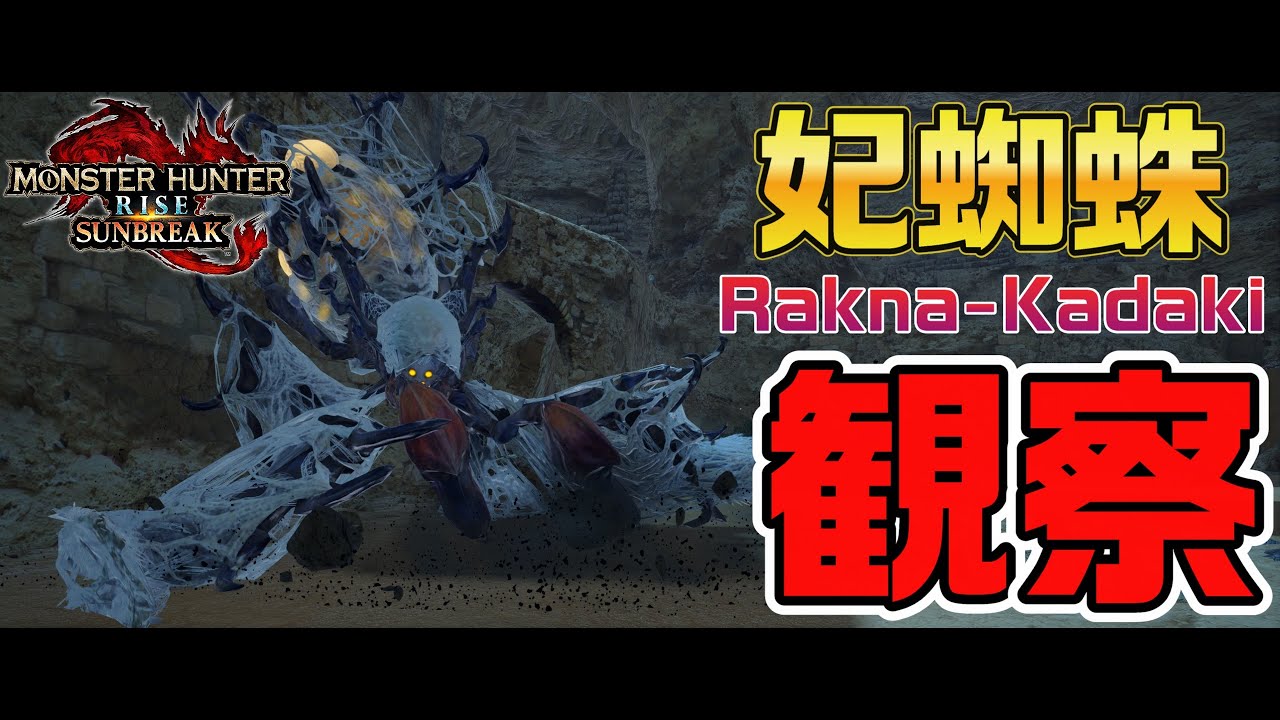【蜘蛛注意！】ヤツカダキを見てみようじゃないか