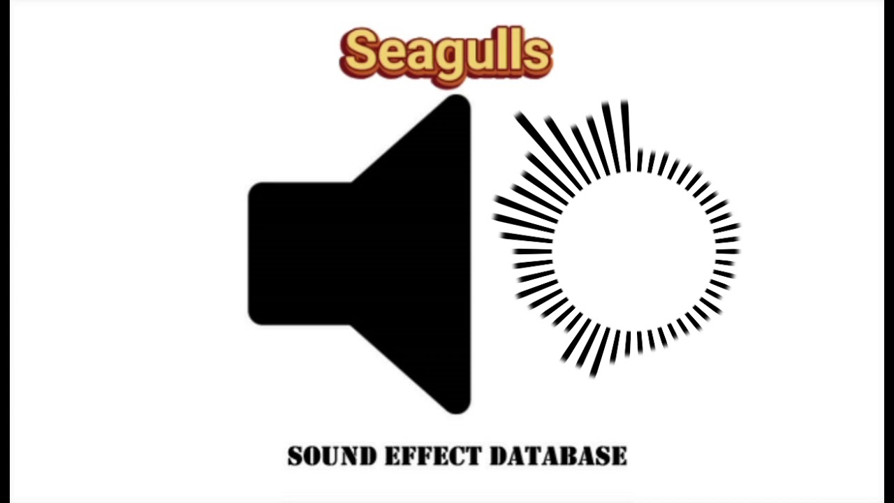 Seagulls Sound Effect