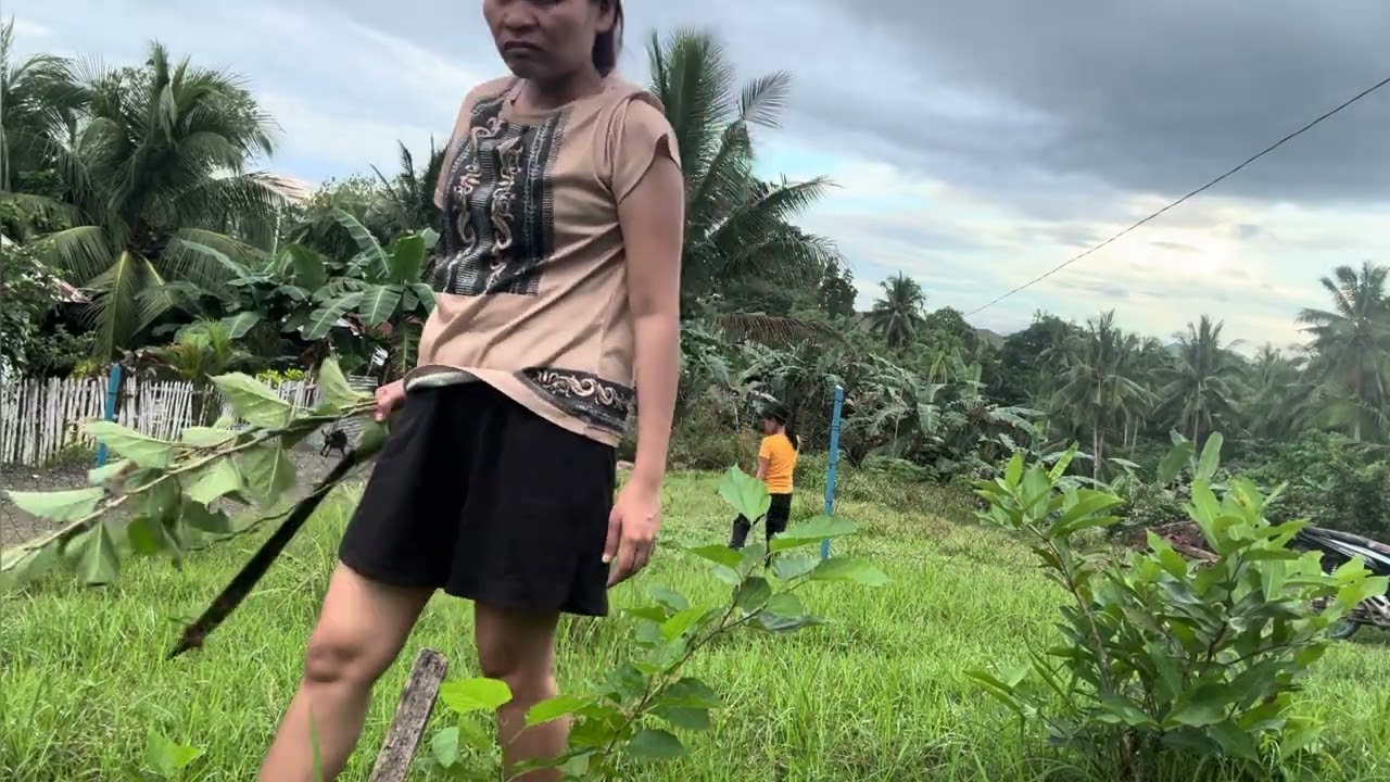 MAO NI AKO NAPALIT GAMAY YUTA TAMNAN 