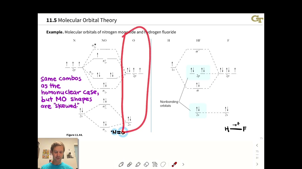Молекулярные орбитали гетероядерных двухатомных молекул | OpenStax Chemistry 2e 8.4