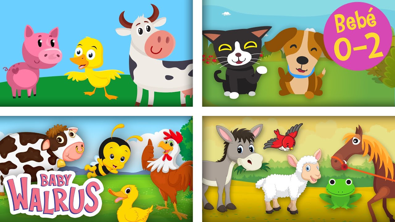 Aprende los Animales: Granja, Mascotas y Sonidos | Baby Walrus en Español  🐮 🐶 🐔