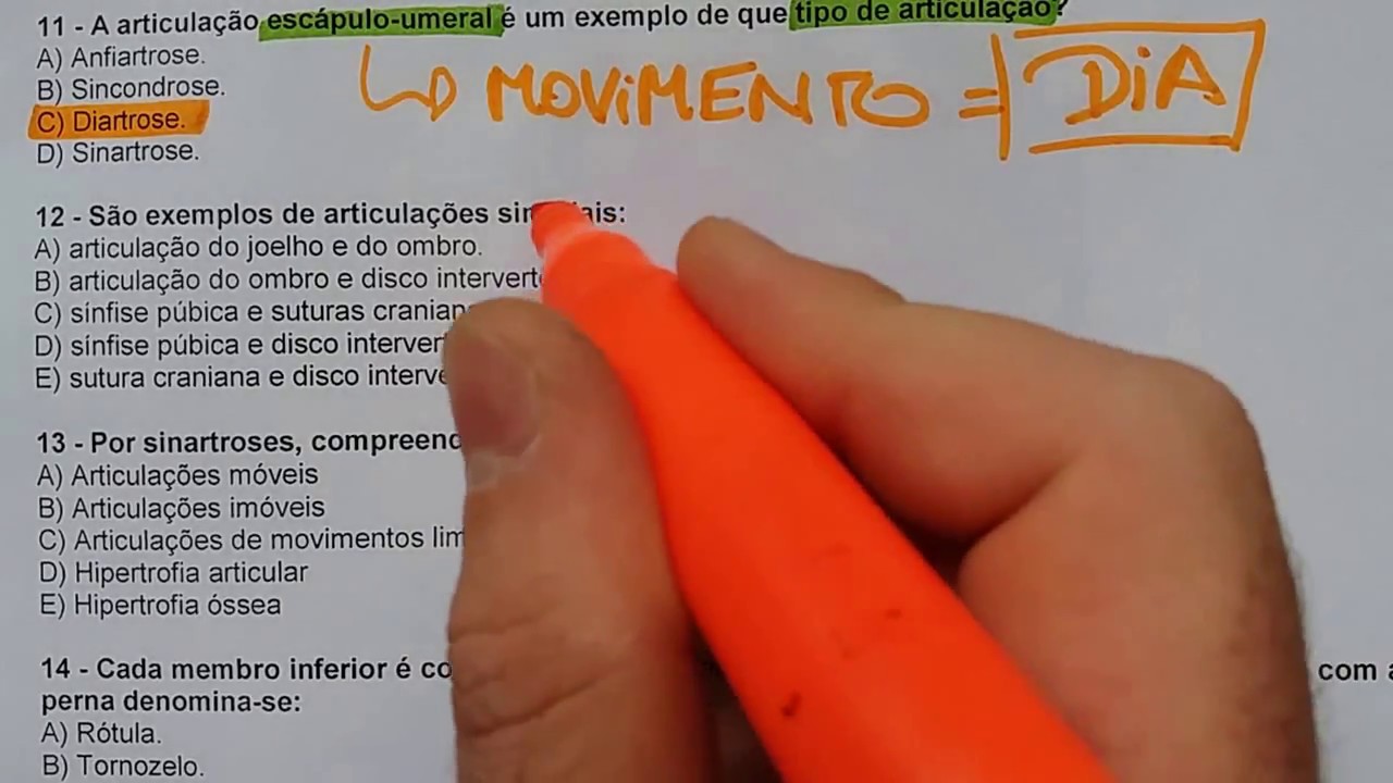 Questões de Anatomia