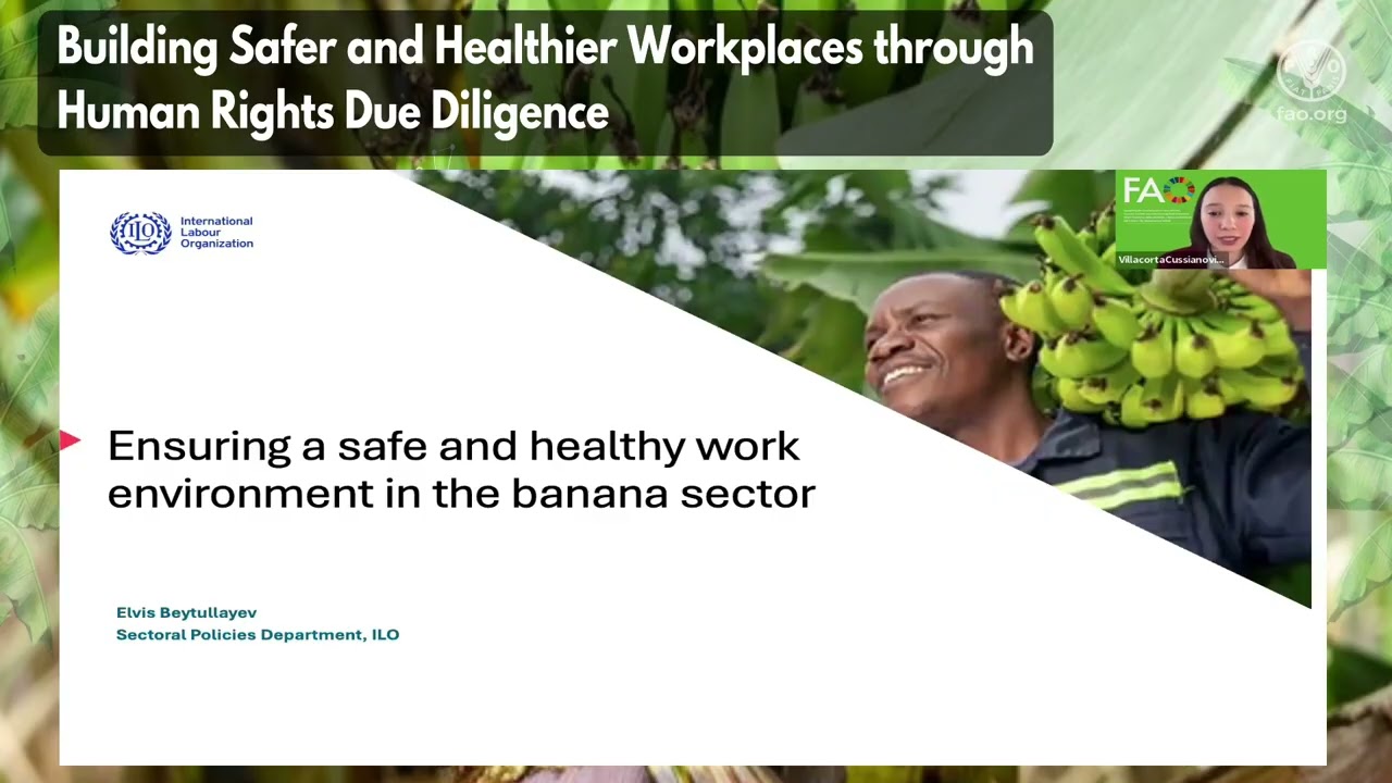 Webinar Building Safer and Healthier Workplaces through Human Rights Due Diligence