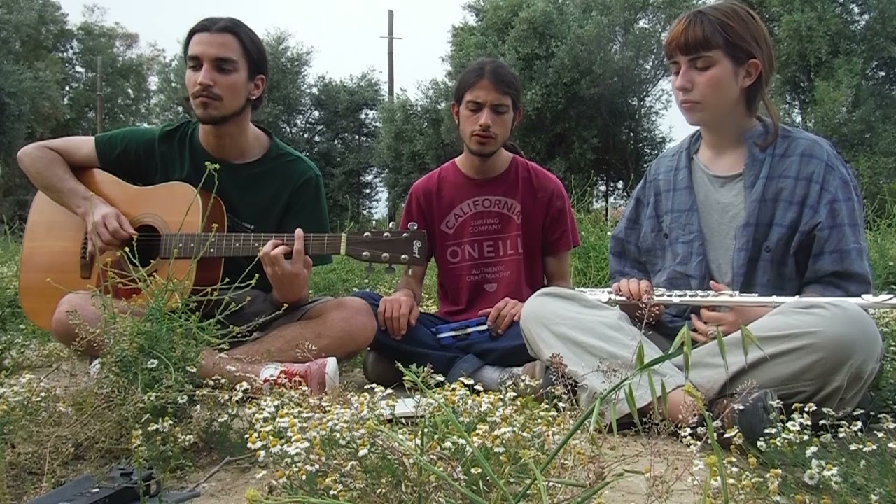 Spring Sessions - Hares On The Mountain (traditional)