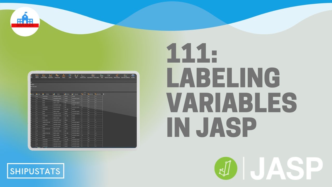 111: Labeling variables in JASP