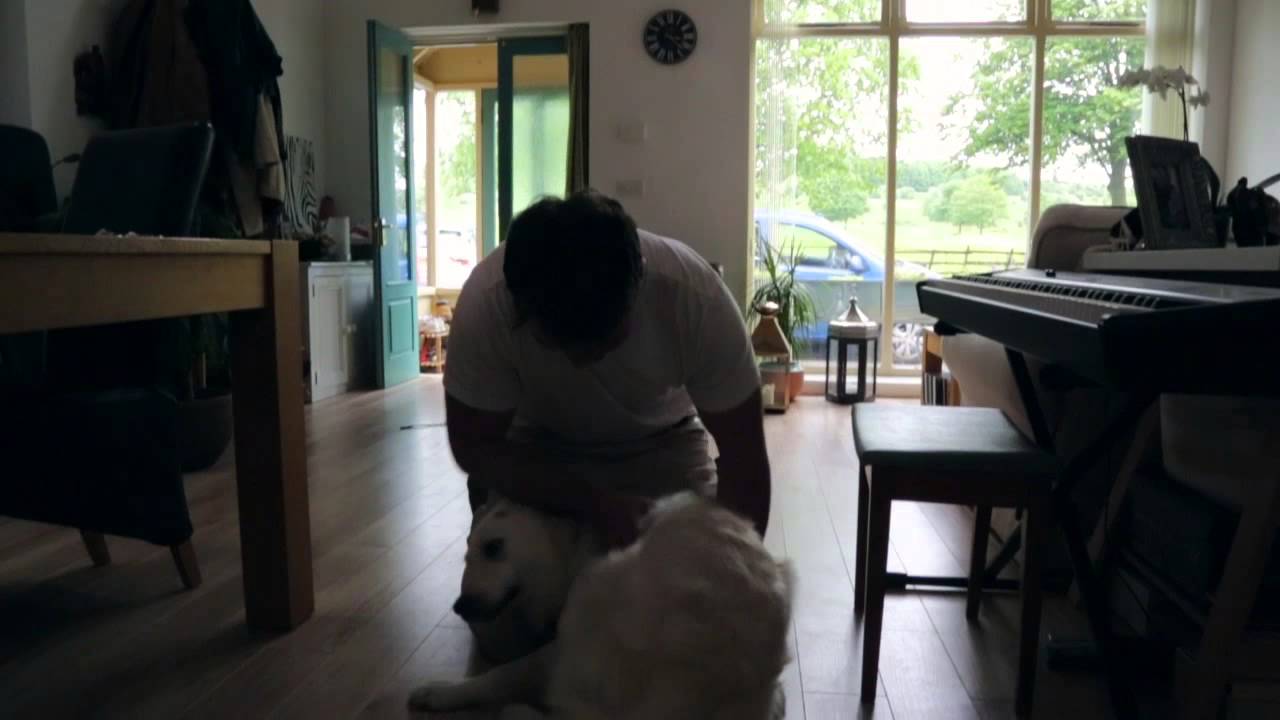 Tessa greeting Bobby after he was away for 6 weeks