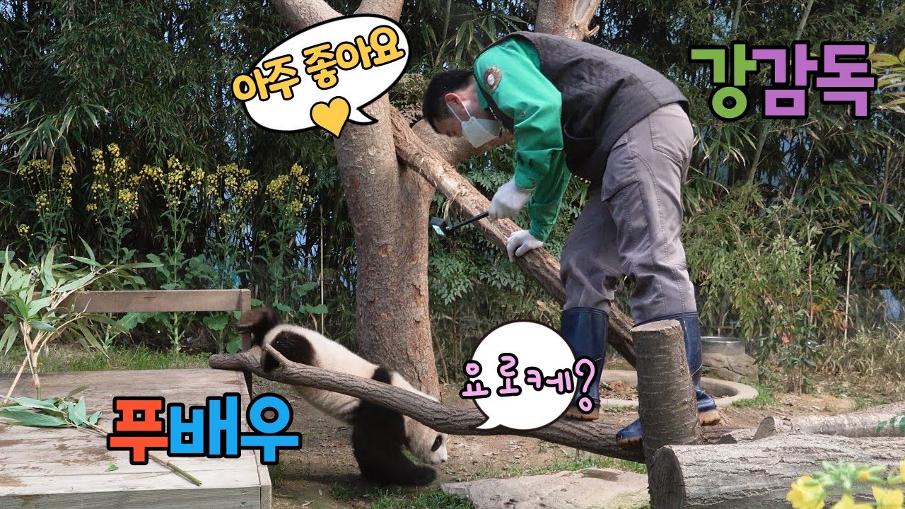 ★에버랜드 판다월드 ep20★ 
