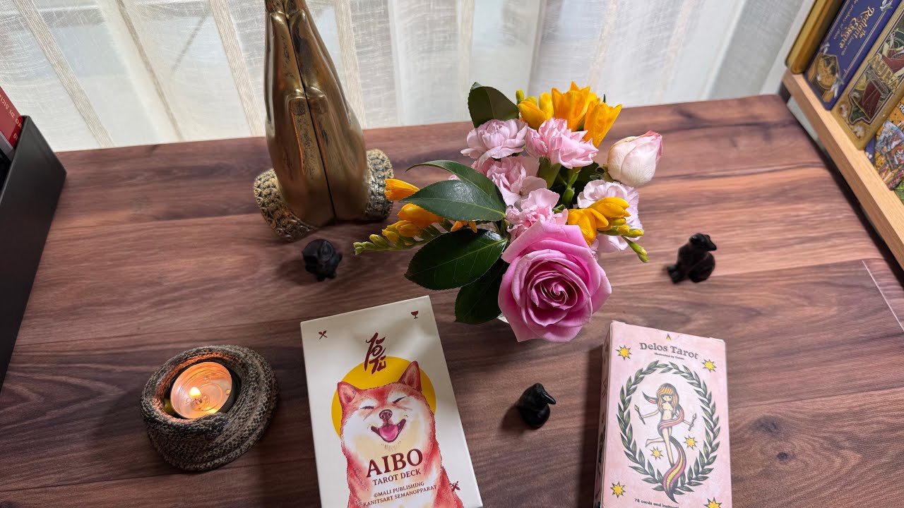 Милейшие колоды Delos tarot and Aibo tarot