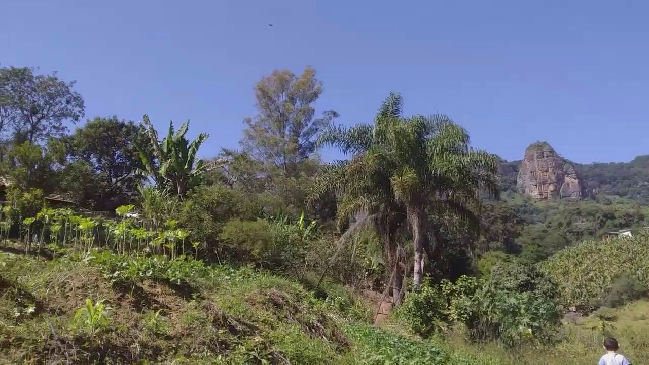 MEU PEQUENO MUNDO CIDADE BRAS&Oacute;POLIS