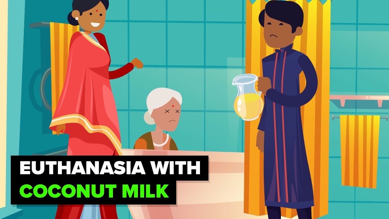 India - Where Coconut Milk is a Murder Weapon