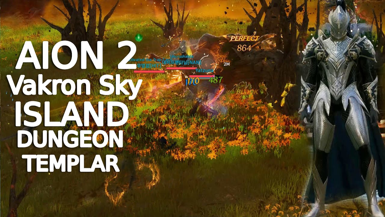 Aion 2 Templar at Vakron Sky Island Dungeon( lvl 45)