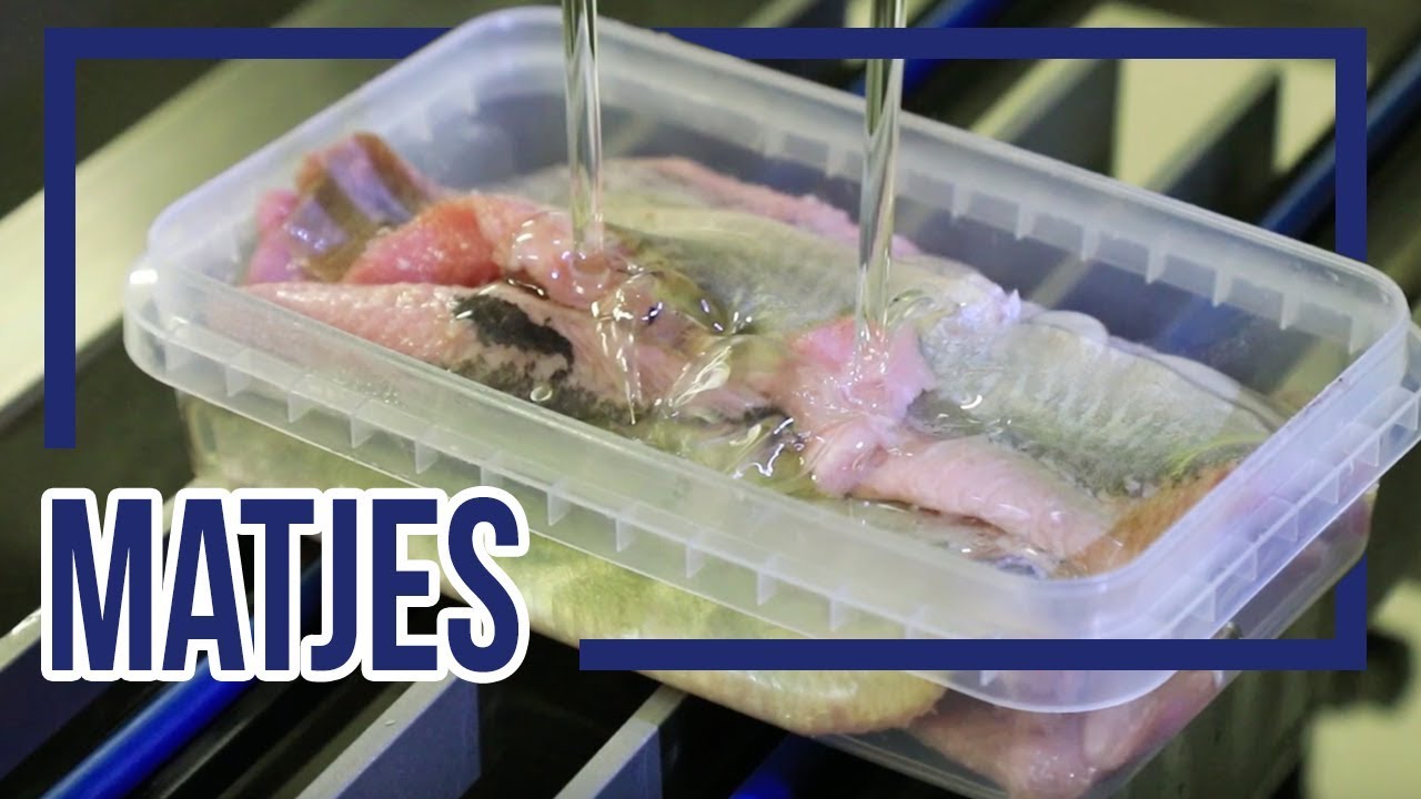 Matjes - Aus eigener Herstellung