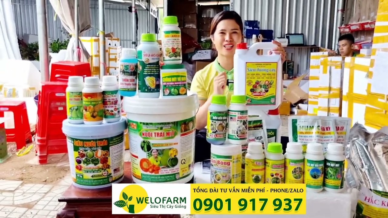 Phân bón hữu cơ Welofarm - Dinh dưỡng thiết yếu và hợp lý cho cây trồng| SIÊU THỊ CÂY GIỐNG WELOFARM