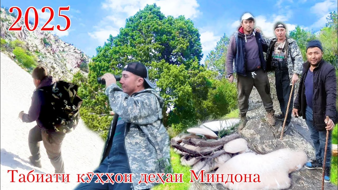 Сайри кӯҳҳои деҳаи Миндона,маёфка бо ҳамсинфон