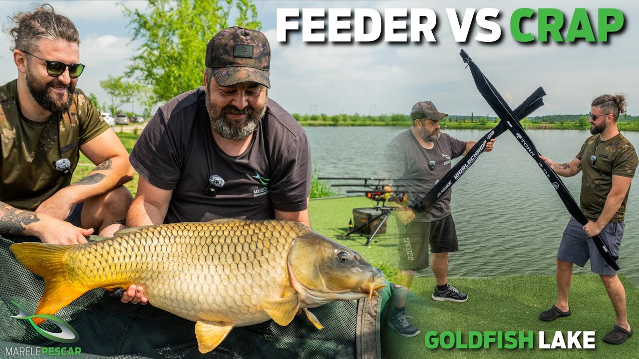 Feeder VS Crap | Anelin Enache VS Ionel Iancu - GoldFish Lake | MarelePescar