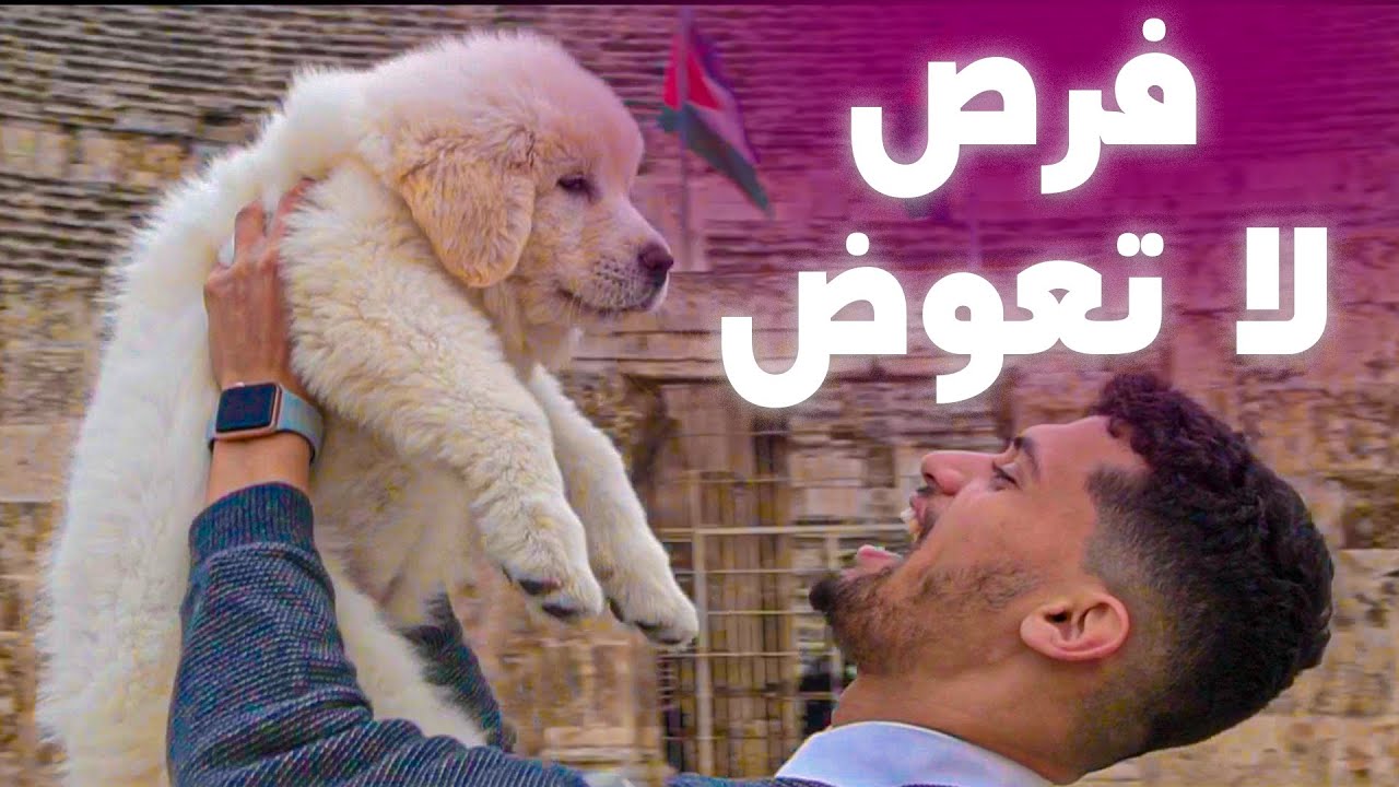 فرص لا تعوض | جرّبها مرّة | تحدي سديم 3