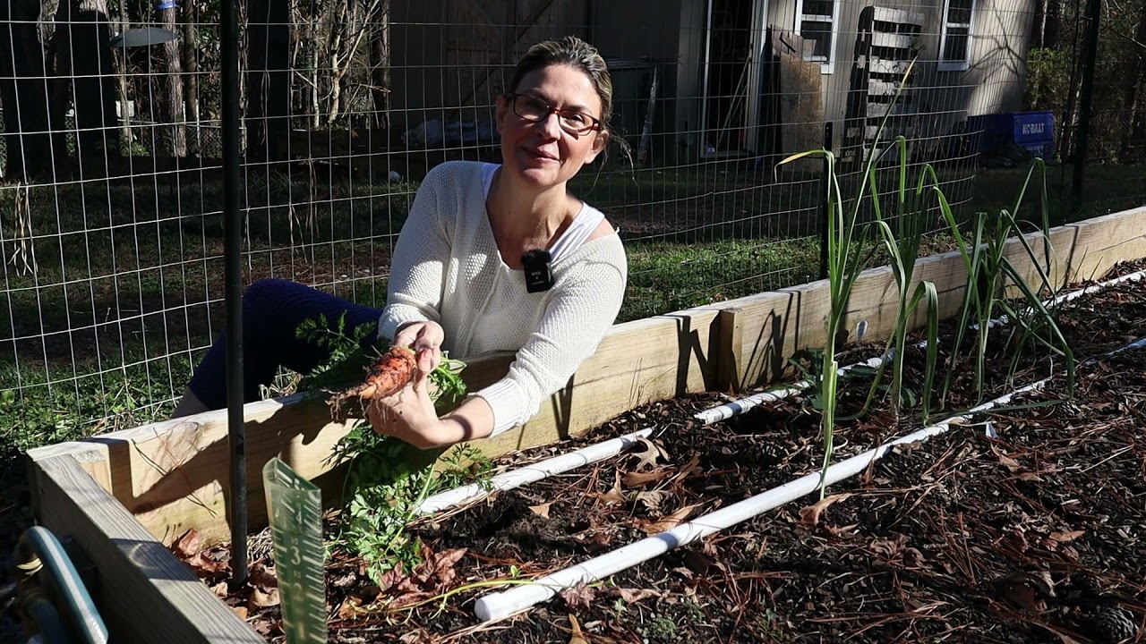 Winter Backyard Suburban Garden Tour / Planting Onions / Zone 7b