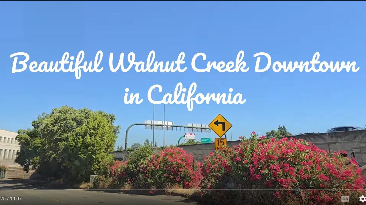Beautiful Walnut Creek Downtown in California