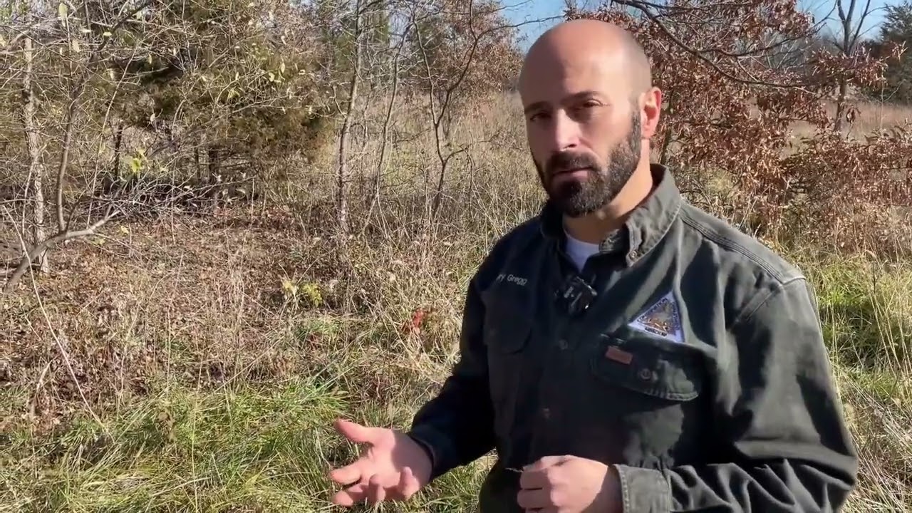 Habitat Hints: Invasive Autumn Olive