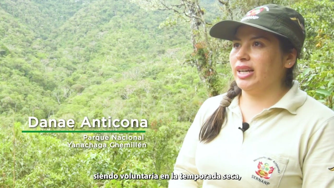 GUARDIANES 2. Con Danae Anticona en el Parque Nacional Yanachaga Chemillén