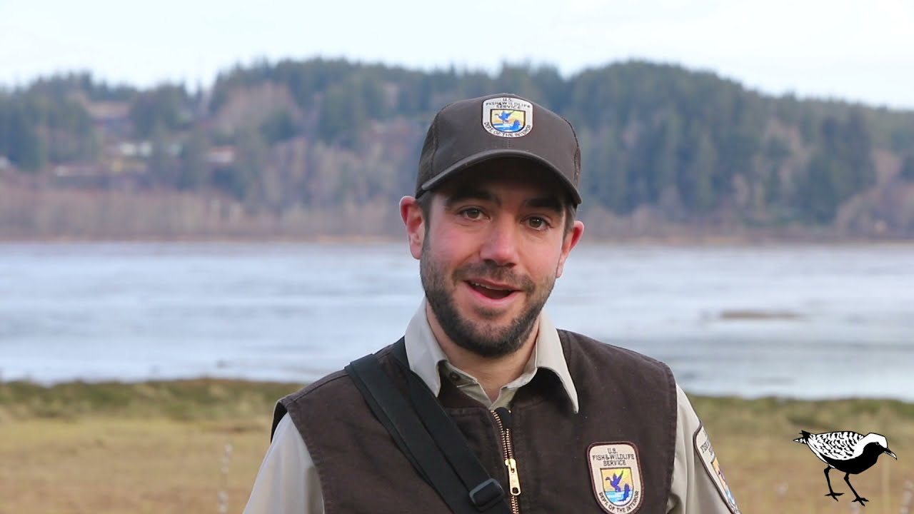 The 2021 Grays Harbor Shorebird and Nature Festival Video