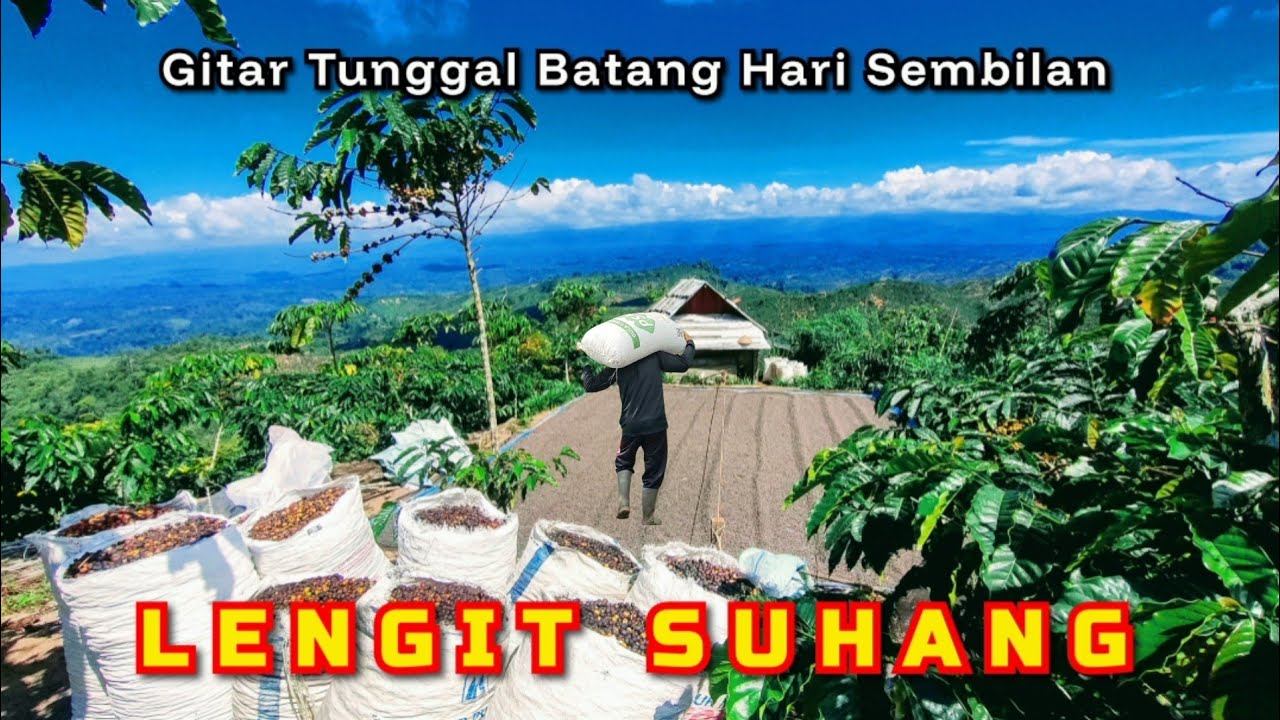 Gitar tunggal 