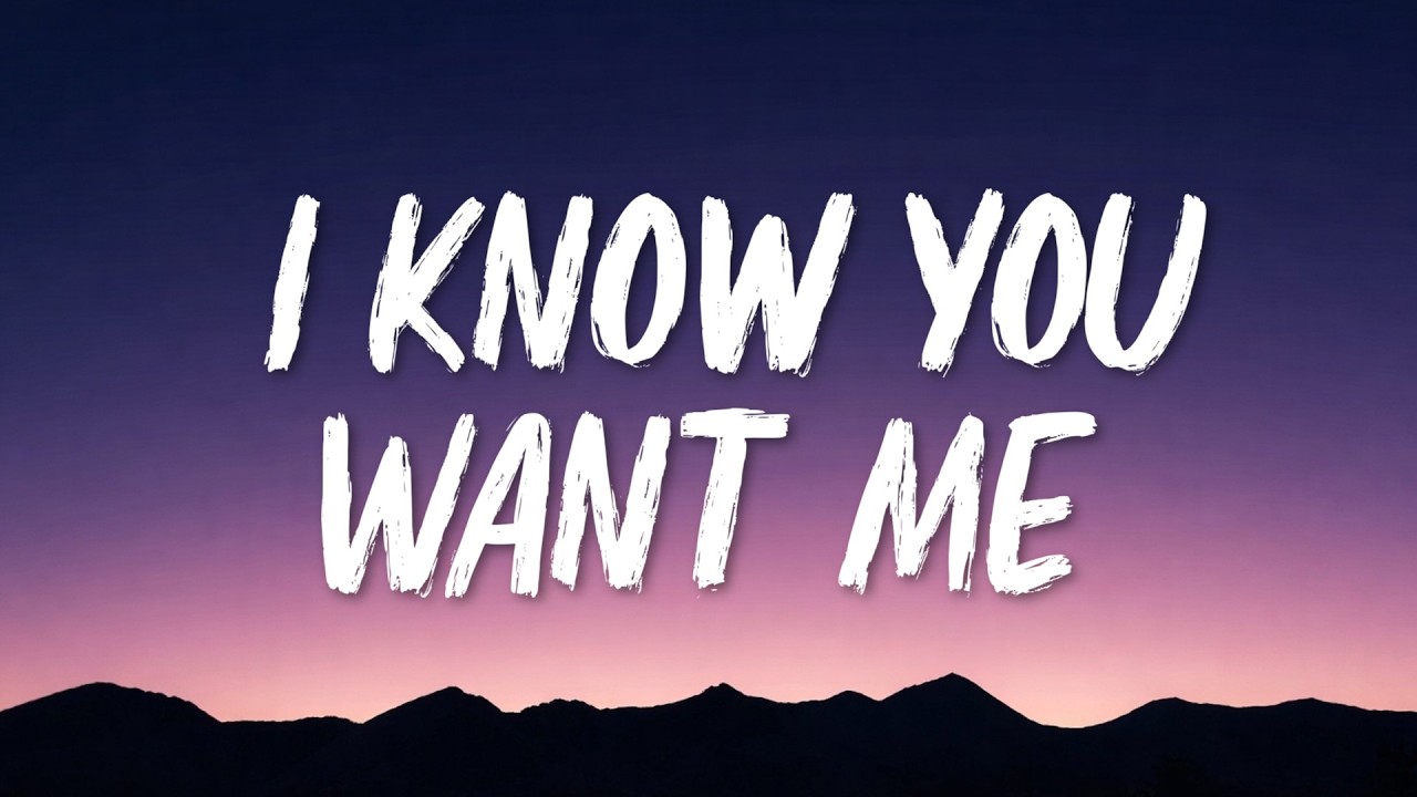 Pitbull - I Know You Want Me (Calle Ocho) (Lyrics)