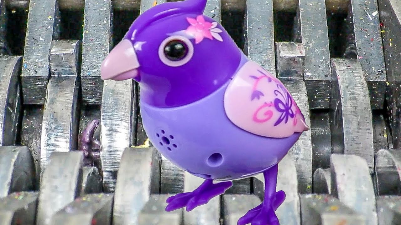 Shredding a Singing DigiBird! What's Inside?