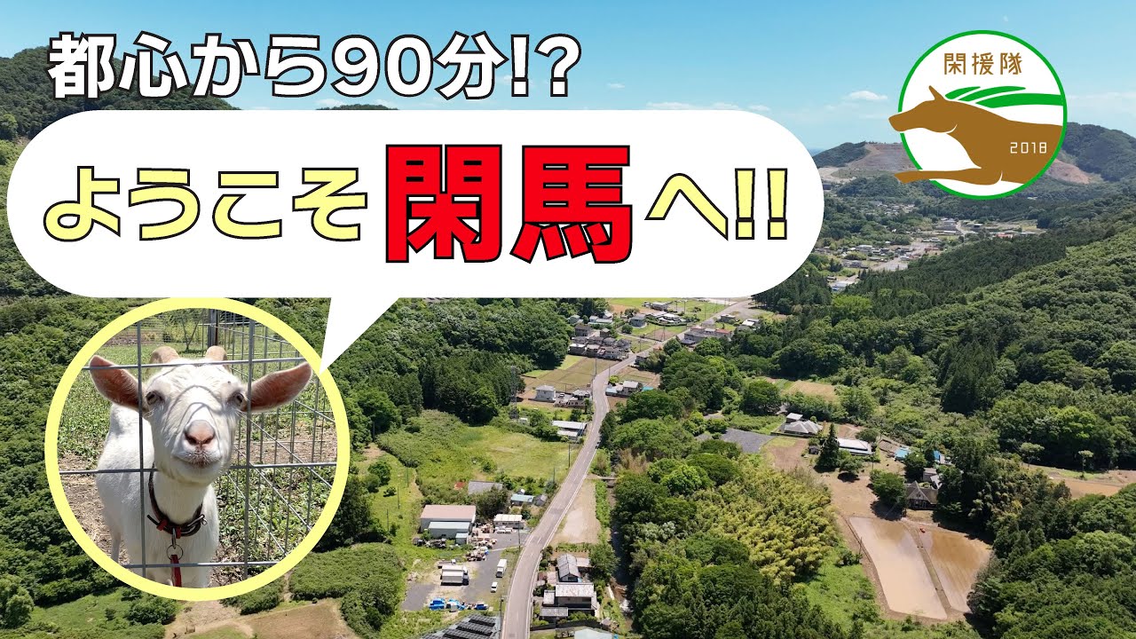 【ゴリさんぽ#17】閑援隊の活動を紹介！佐野市の知られざる魅力に迫ります【 #佐野市閑馬町 】