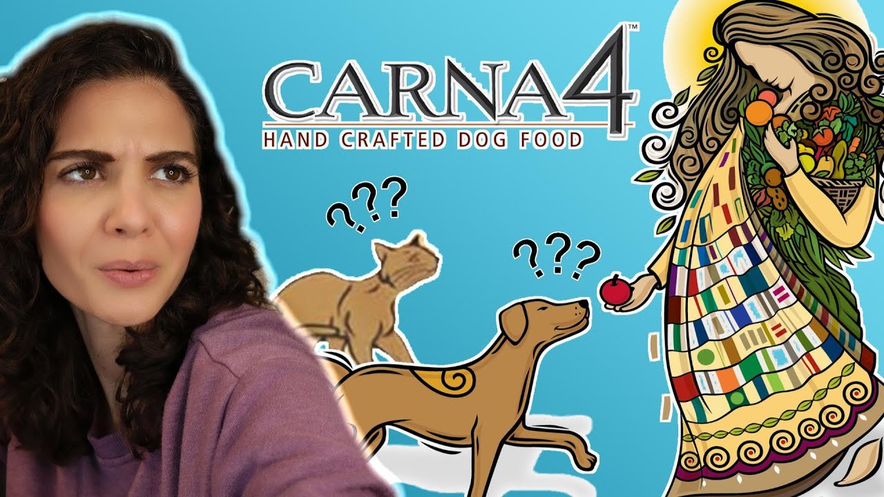 Carna4 dog and cat food review: How does it score against competitors?