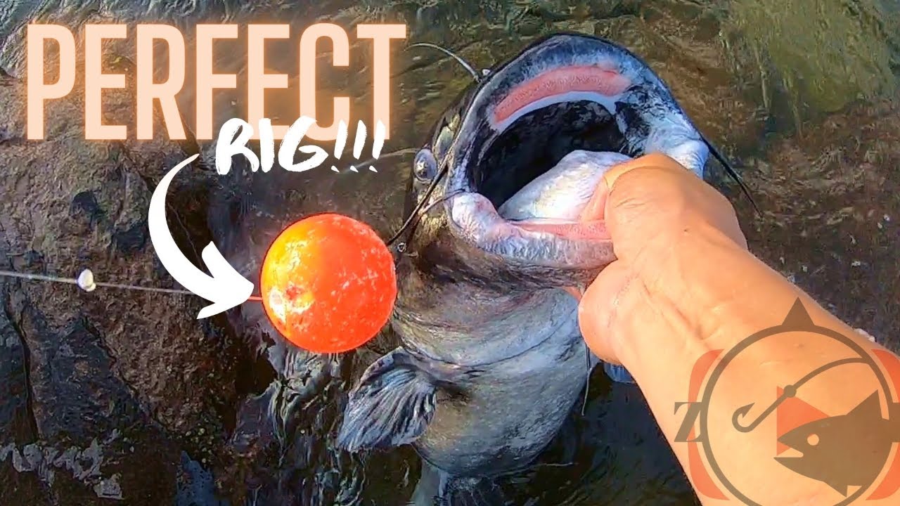 HOW TO : BUILD Float Rig for HUGE Catfish!!