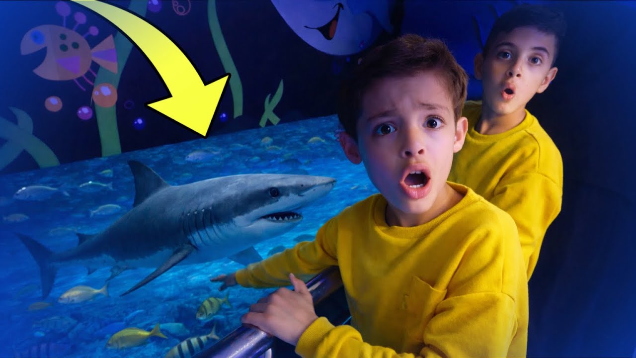 اكبر القرش 🦈في الشرق الأوسط 😳
