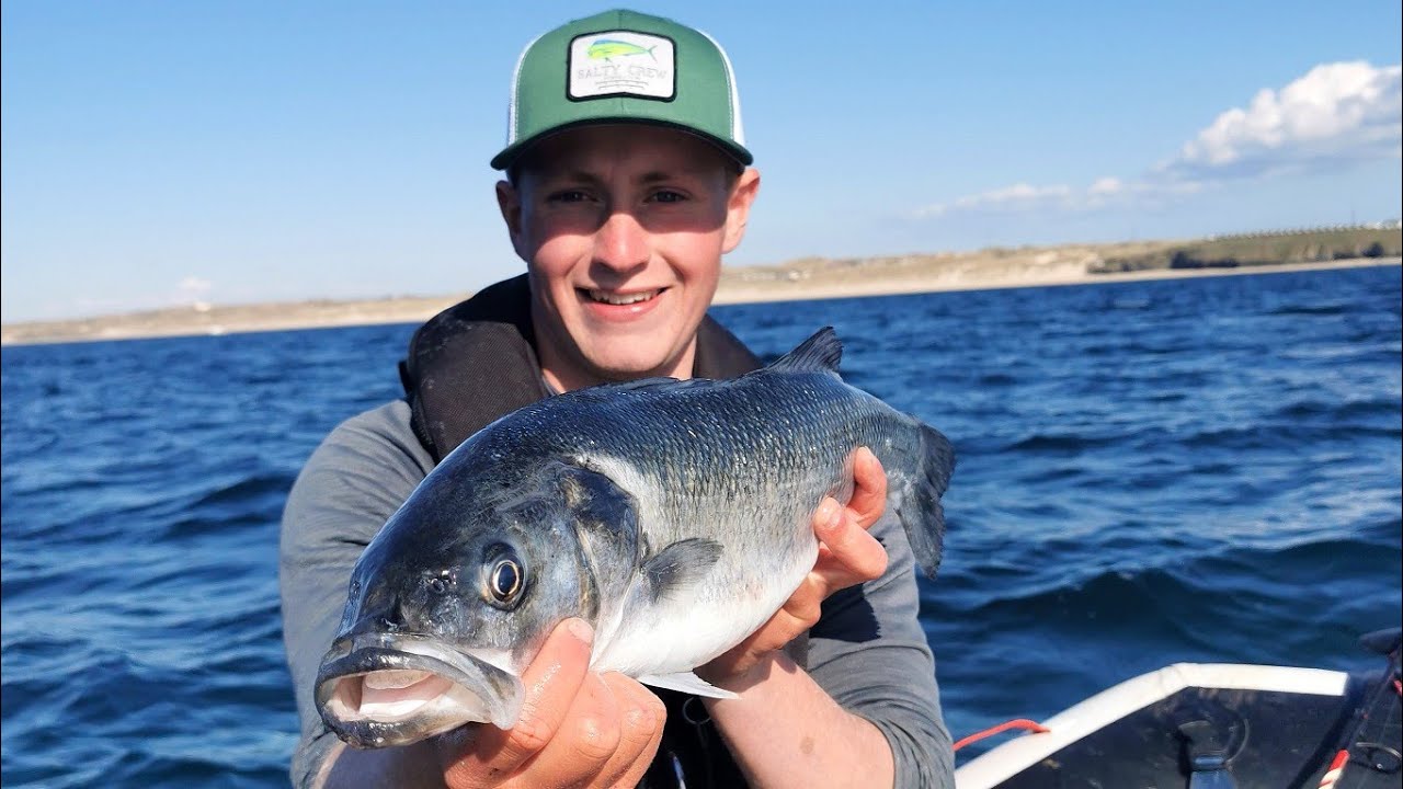 SIB fishing lures and livebait