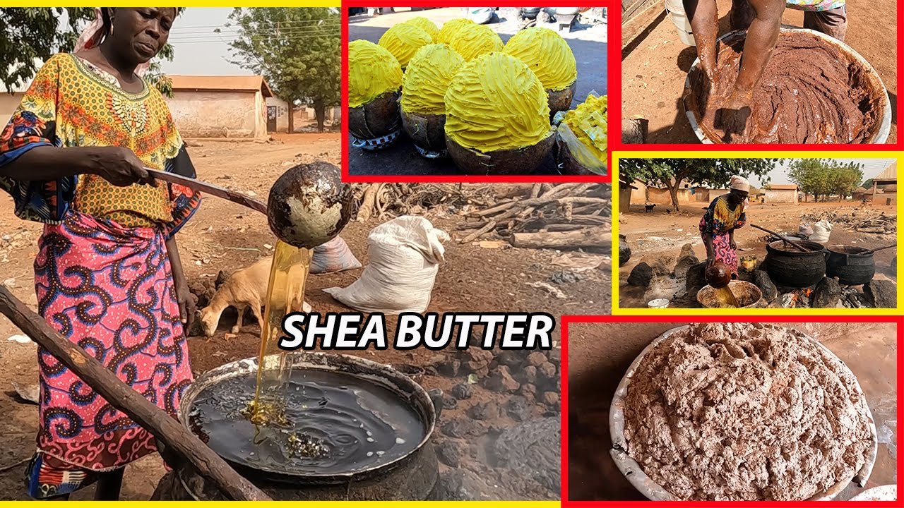 Making organic SHEA BUTTER OIL in Africa!!! How to prepare Shea Butter Oil in Ghana 🇬🇭, West Africa.