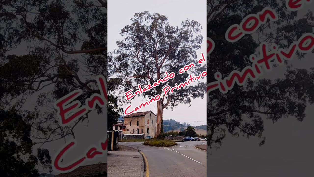 De Gijón a Oviedo 33 Kms., enlazando con el Camino Primitivo. @rutasysendasbyjimmy 