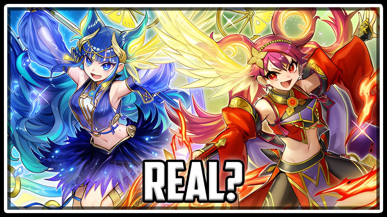 Is New Mikanko Actually Competitive?