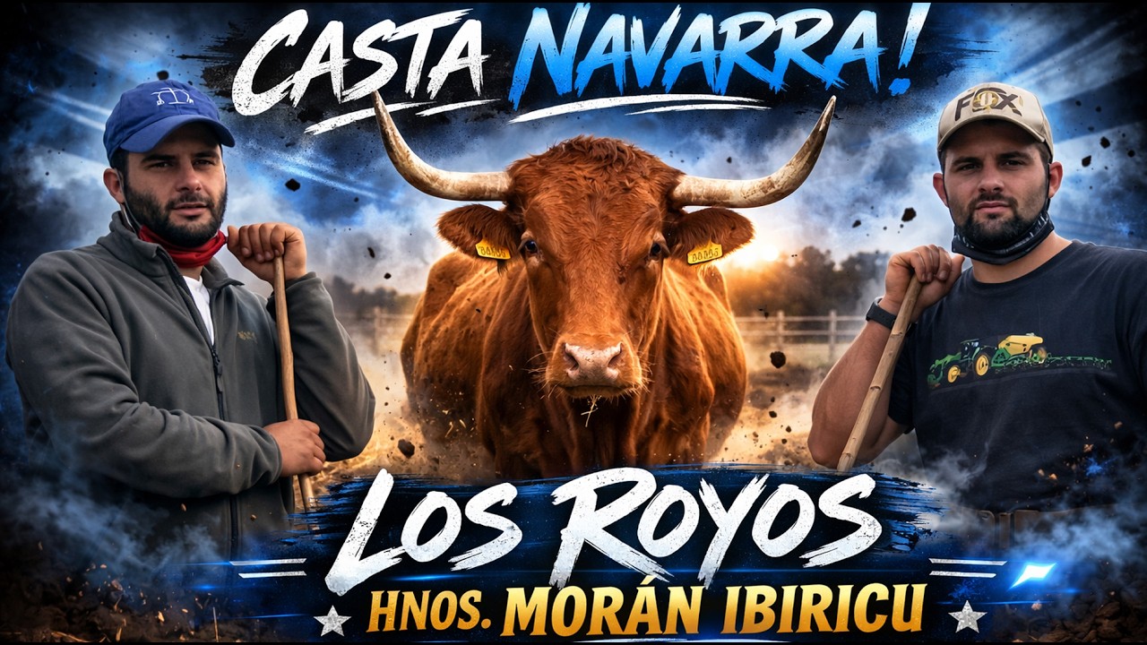Casta Navarra! REPORTAJE GANADERÍA LOS ROYOS HNOS. MORAN IBIRICU