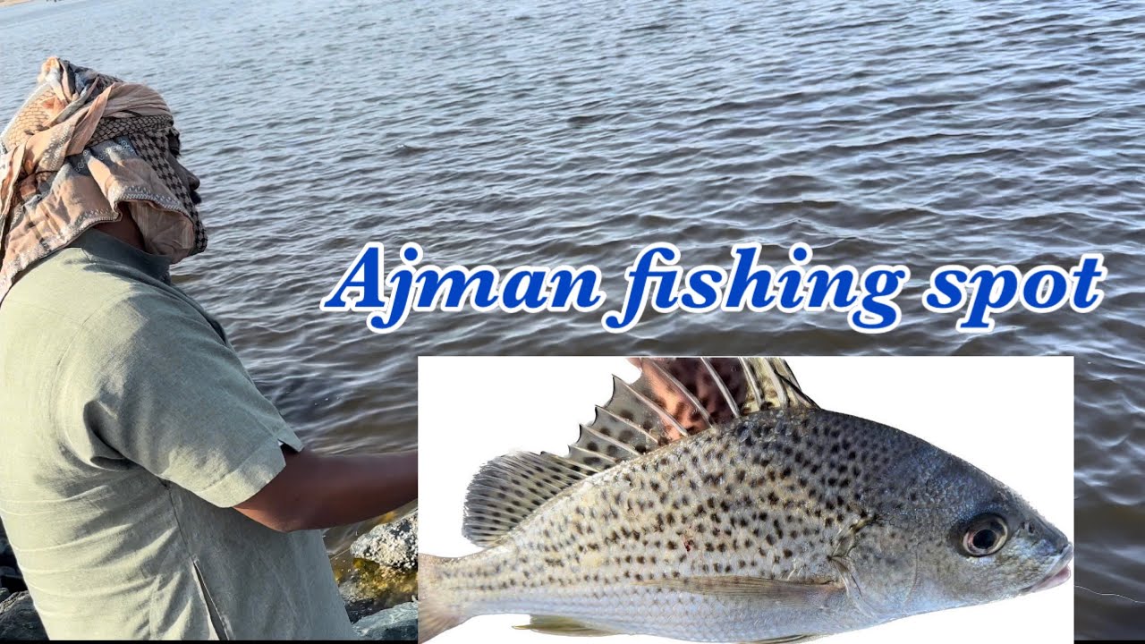 Ajman fishing spot