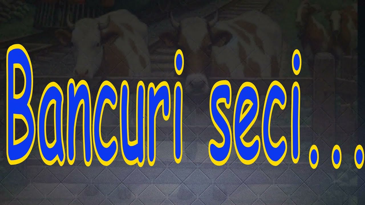 Bancuri seci