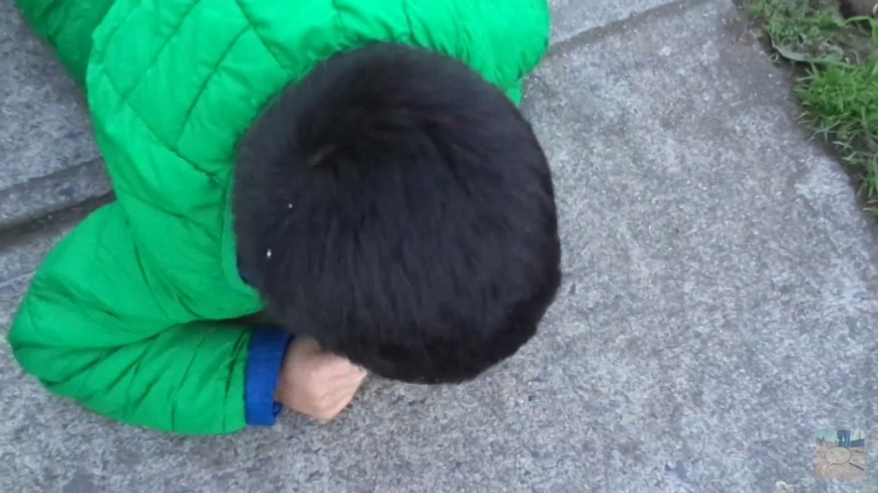 tipos de atletas