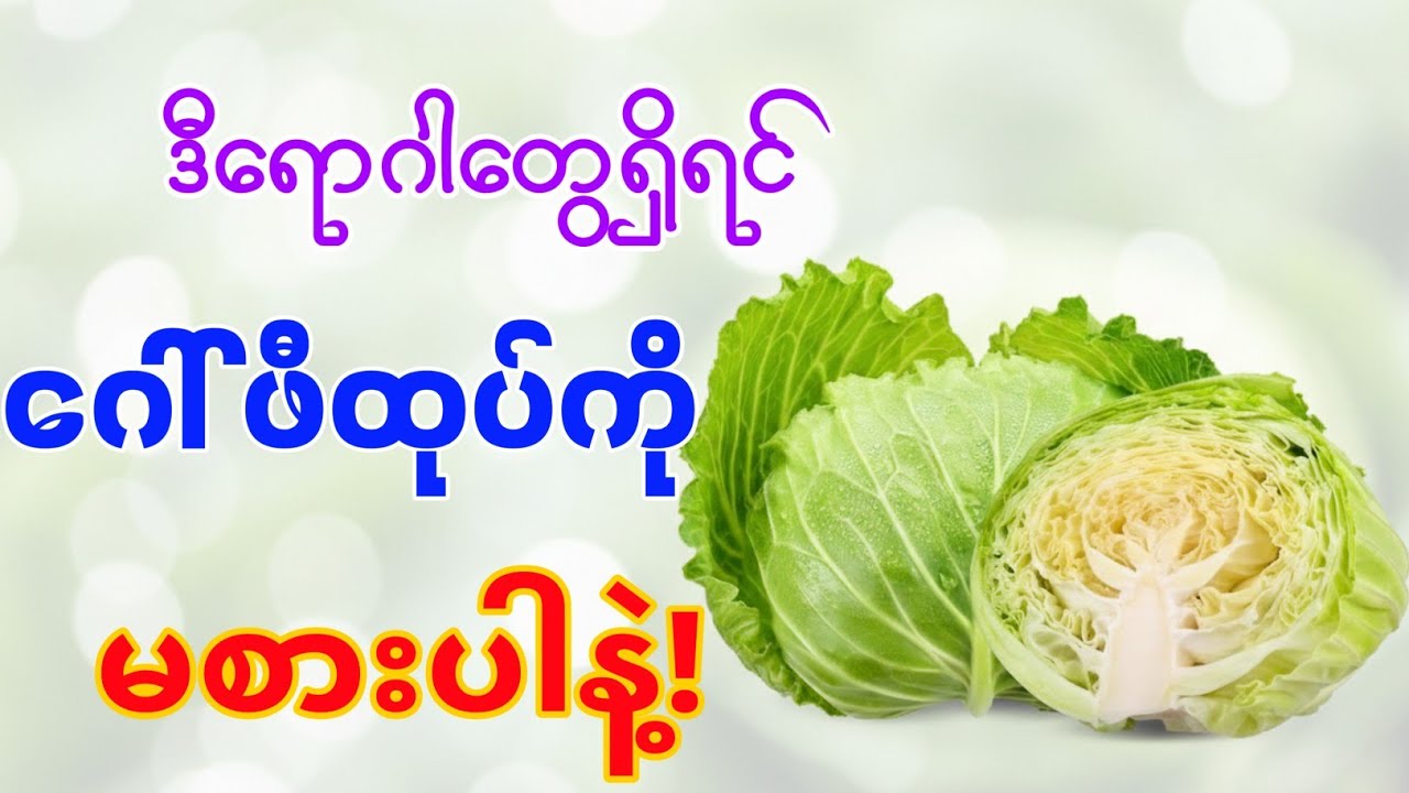 ဒီရောဂါတွေအတွက် သတိထား စားရမည့် ဂေါ်ဖီထုပ်! STOP Eating Cabbage If You Have These 13 Health Issues!