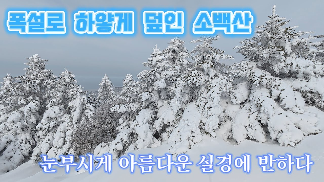 폭설 소백산! 아름다운 설경에 반하다(4k영상입니다!). 등산초보 부부의 두번째 100대명산