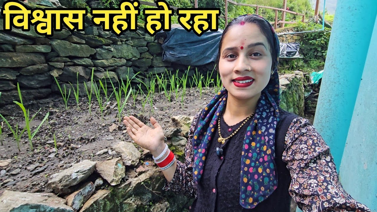 इतनी जल्दी मेरी मेहनत रंग लाई 🤗| Preeti Rana | Pahadi lifestyle |Triyuginarayan @PriyankaYogiTiwari 
