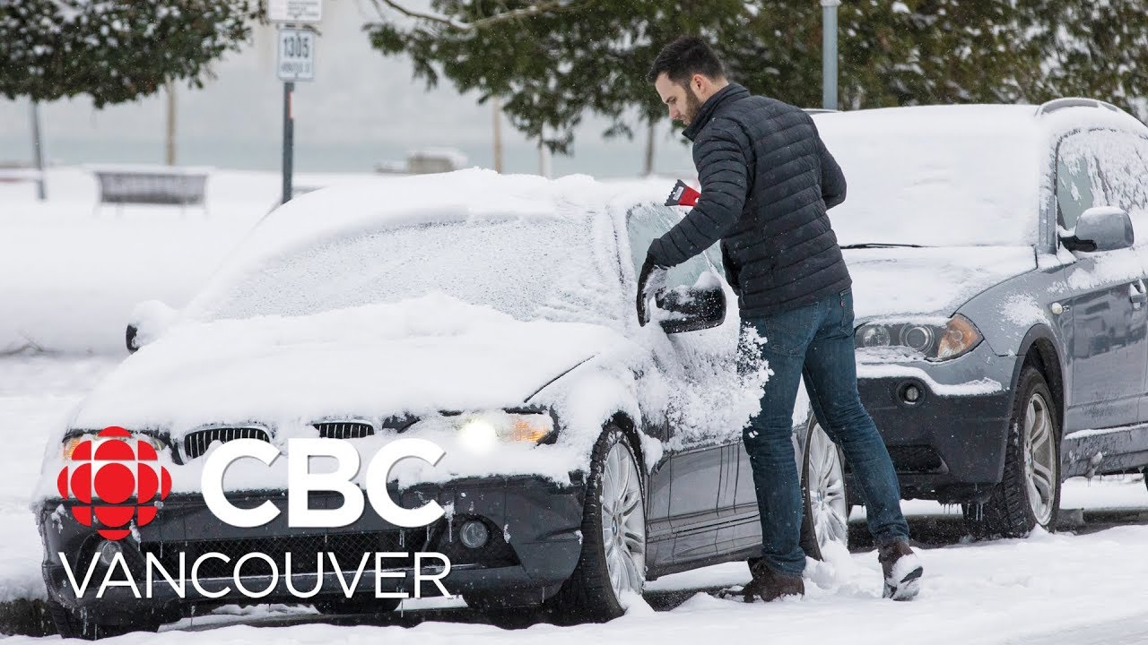 Snowstorm and high winds bring travel chaos to B.C.