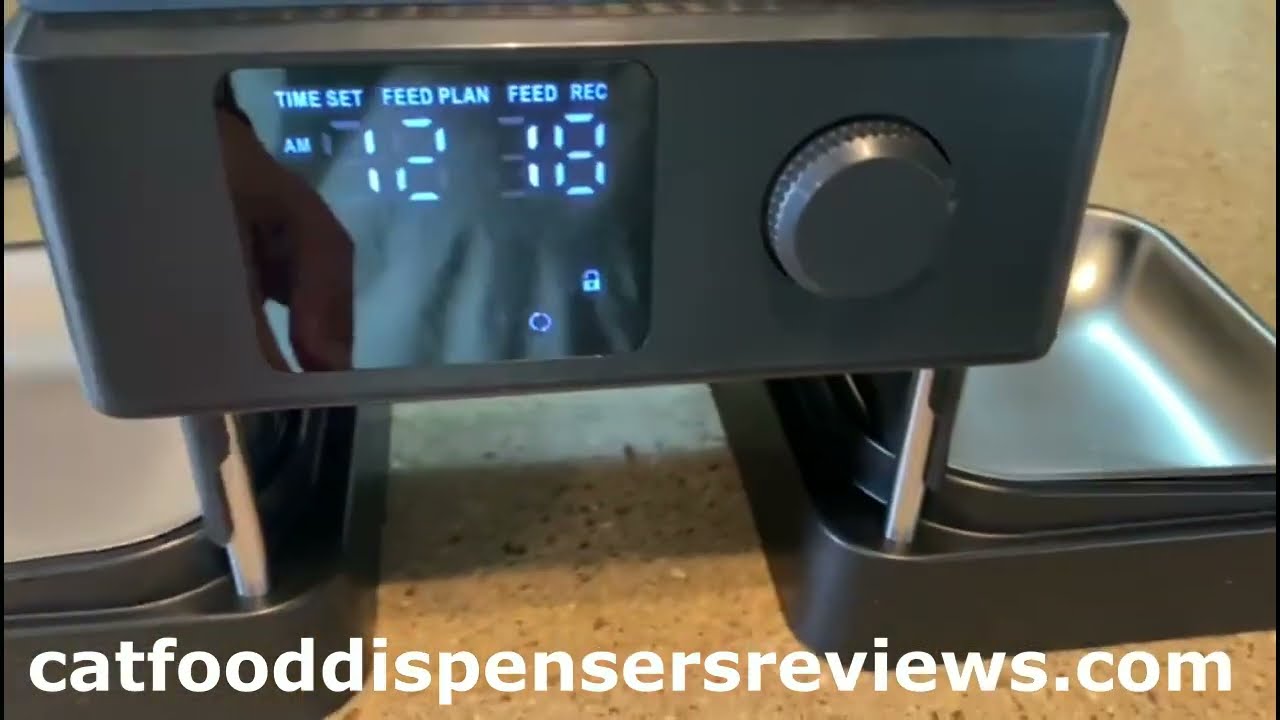 Oneisall Automatic Feeder For Two Cats - Full Review (Non-Wifi Version)
