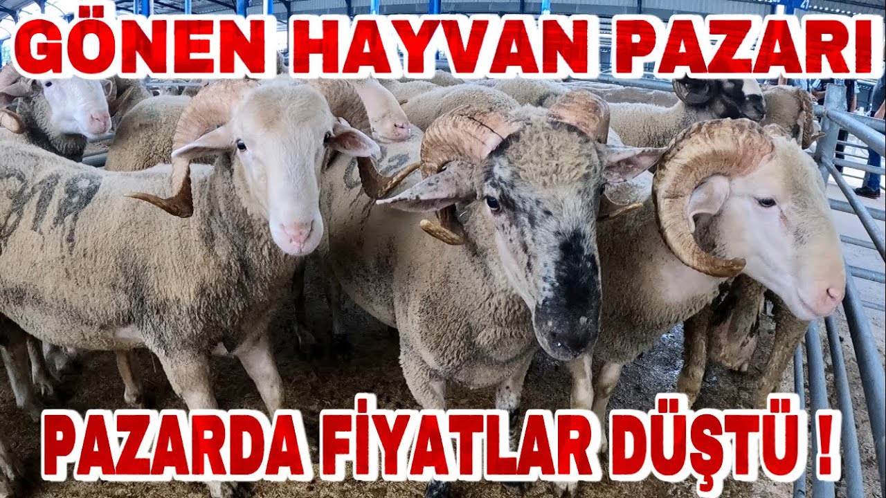 HEM KALİTELİ HEM HESAPLI | YOK BÖYLE BİR PAZAR!!