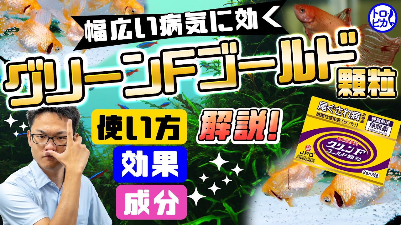 幅広い病気に効く！グリーンFゴールド顆粒の効果と成分、使い方を解説！
