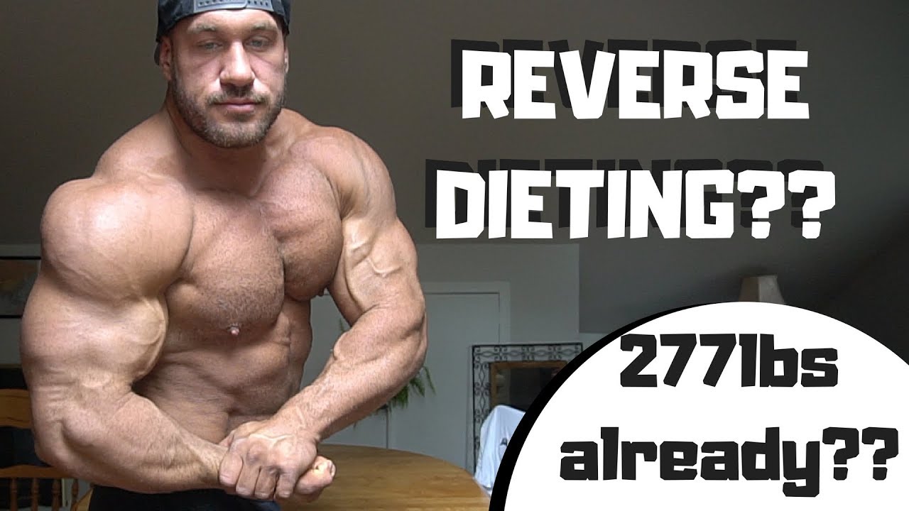 HD MASSTHETICS PROTOCOL EP 1 : 277lbs posing and reverse dieting!