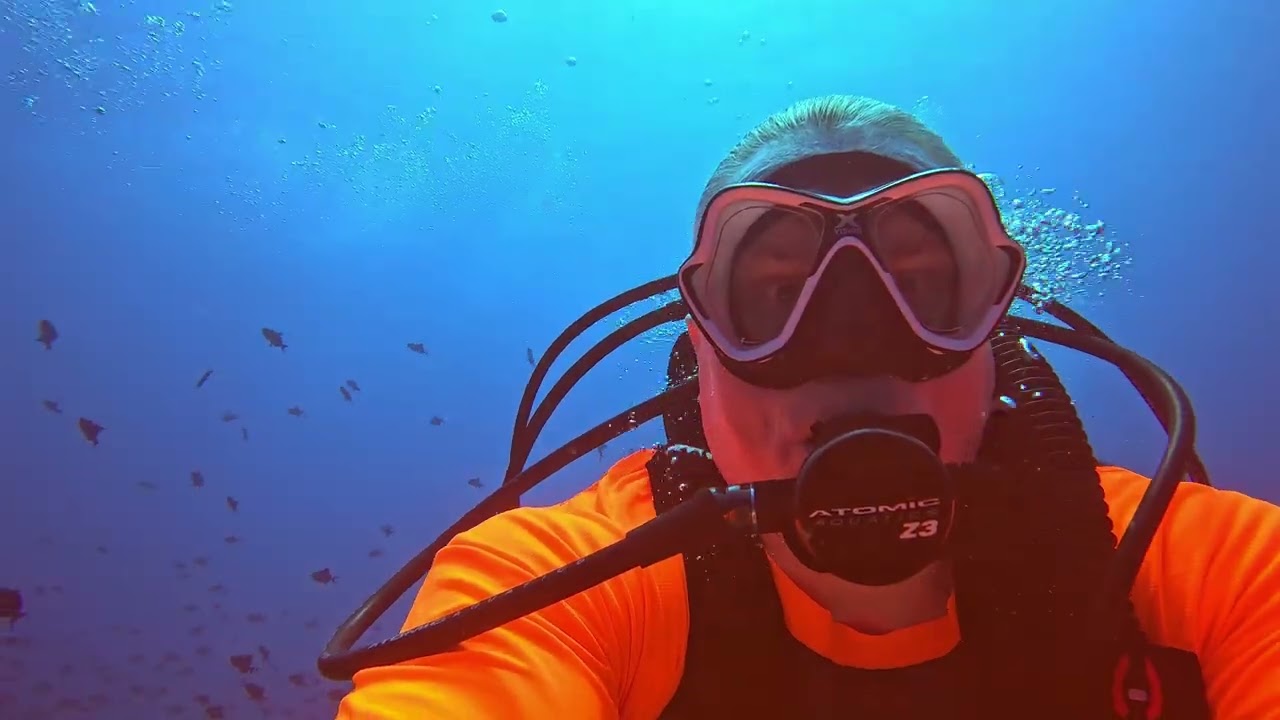 Palau 2026 Blue corner